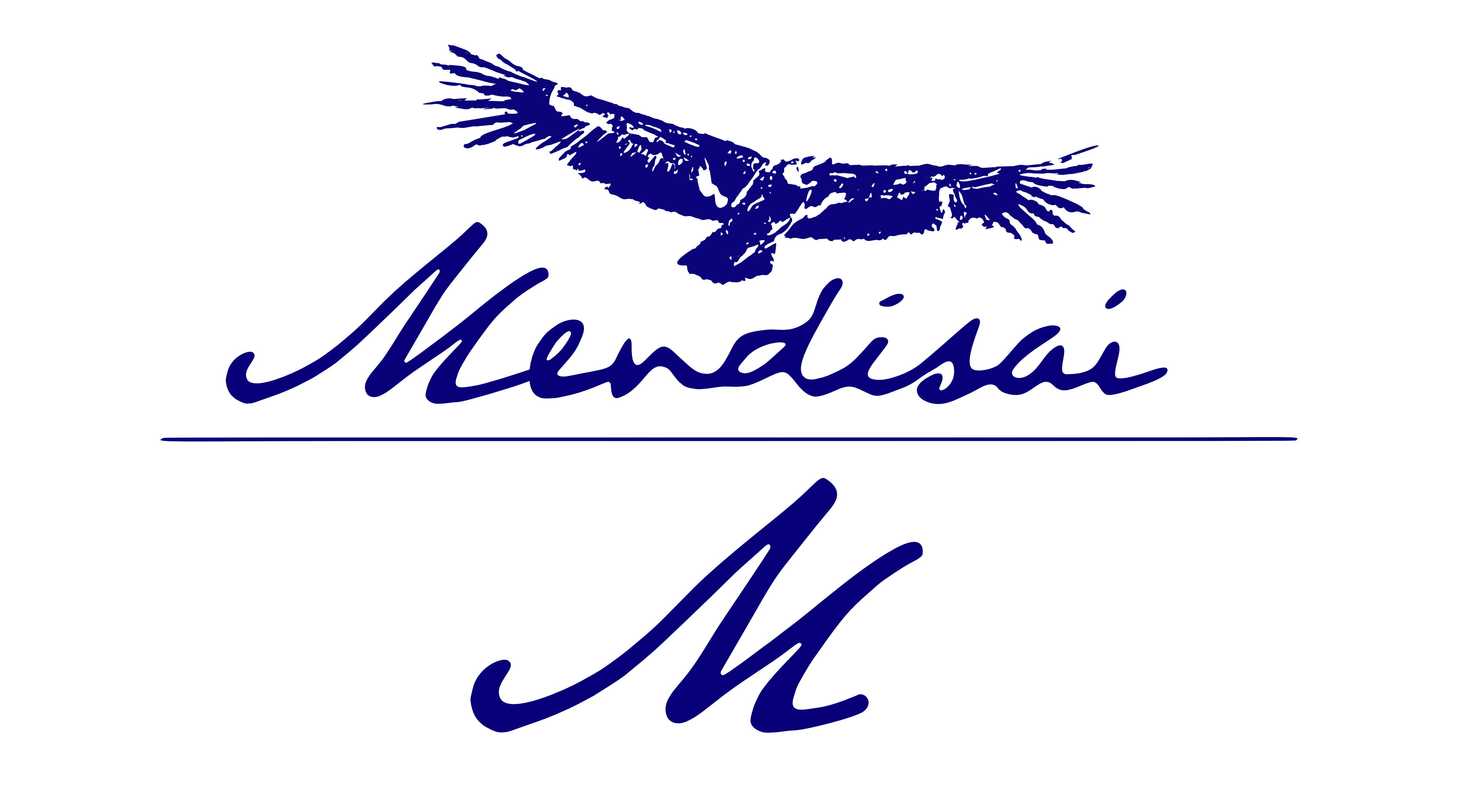 Déclinaison du logo Mendisai