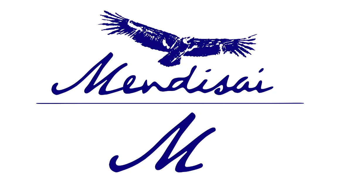 Déclinaison du logo Mendisai