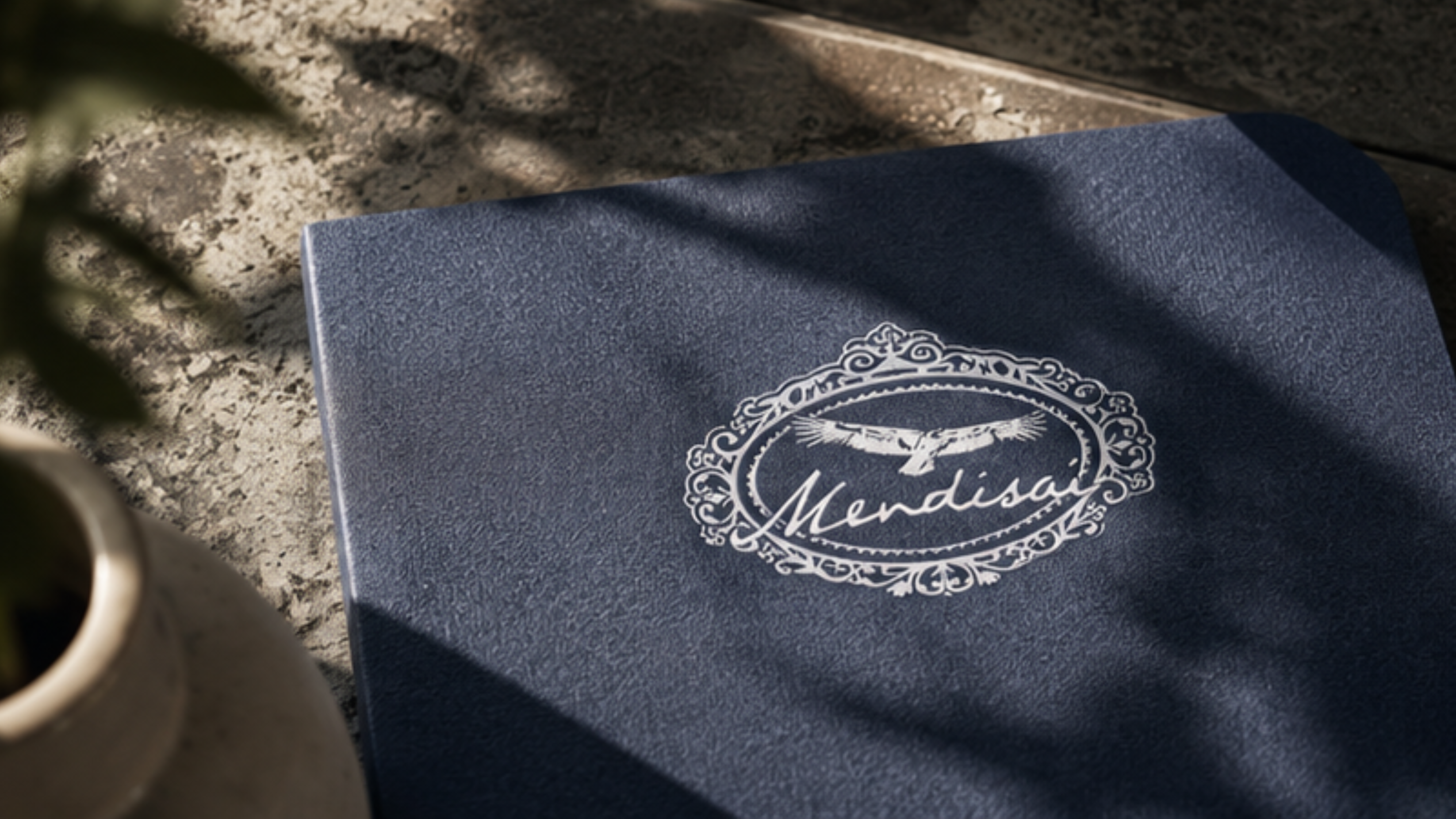 Mockup 4 du projet Mendisai