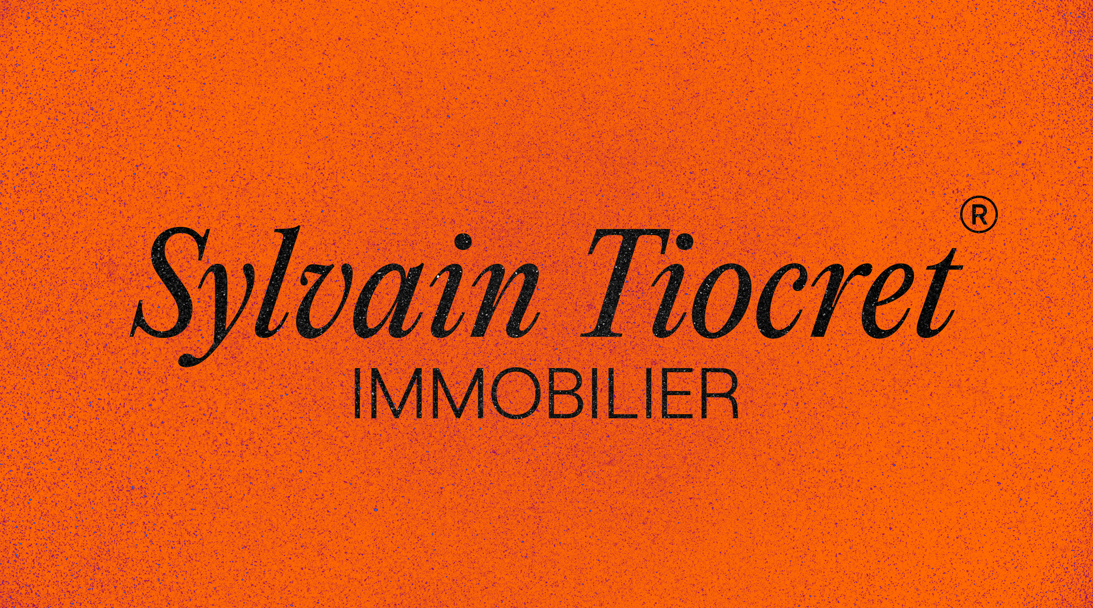 Logo du projet Sylvain Tiocret Immobilier