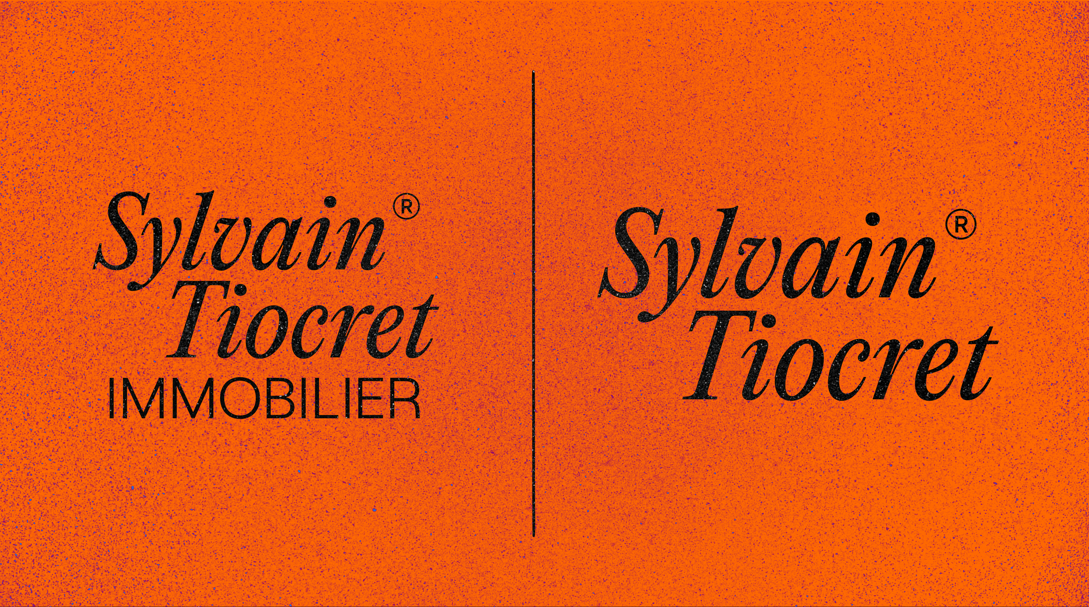 Déclinaison du logo Sylvain Tiocret Immobilier
