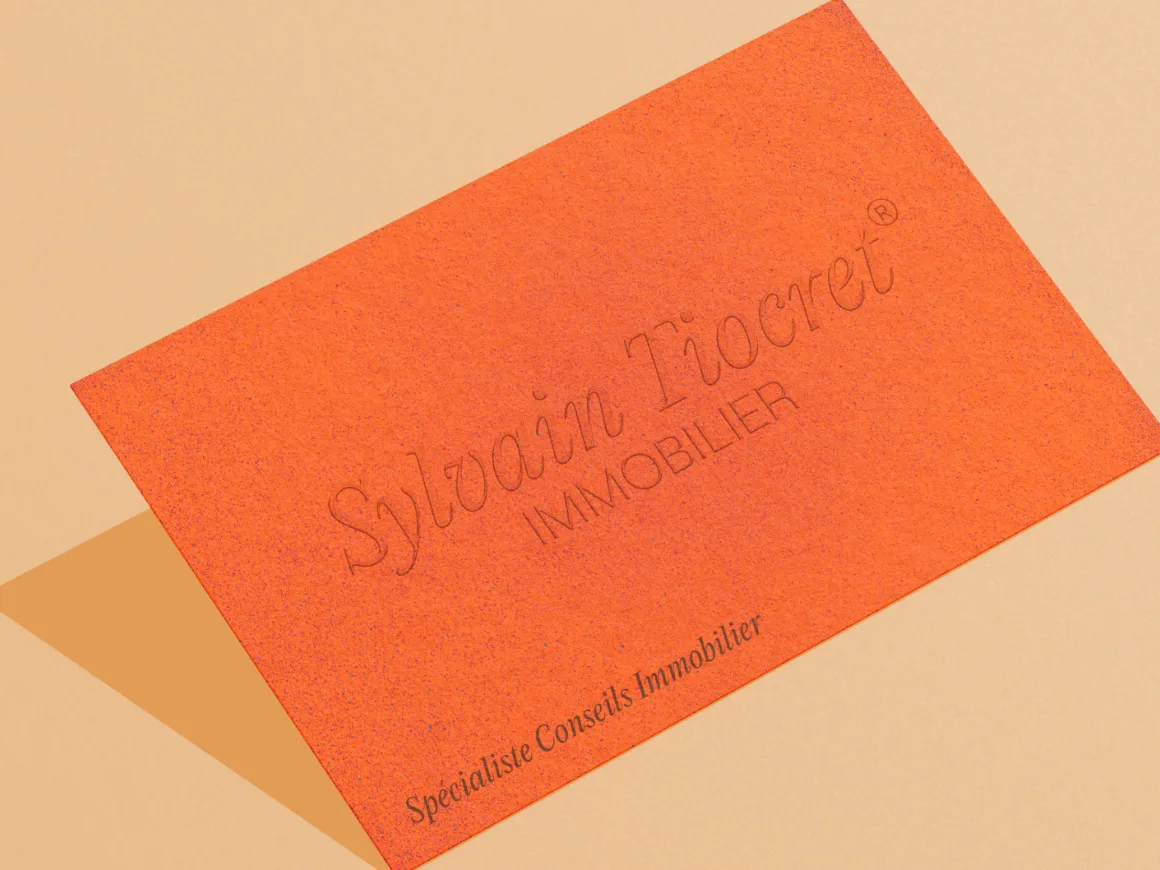 Mockup 4 du projet Sylvain Tiocret Immobilier